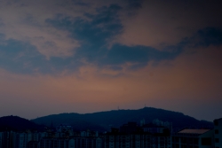 집으로 가는 길